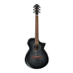 Ibanez AEWC400-TKS