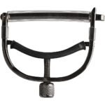 Taylor Capo, 6-String