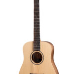 Taylor Bt1 Walnut w/Gig Bag