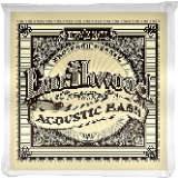 Ernie Ball Earthwood Slinky Phosphor Bronze Acoustic Bass Guitar Strings 45-95