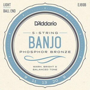 D’Addario EJ69 Phosphor Bronze Light 5-String Ball-End Banjo Strings (9-20)